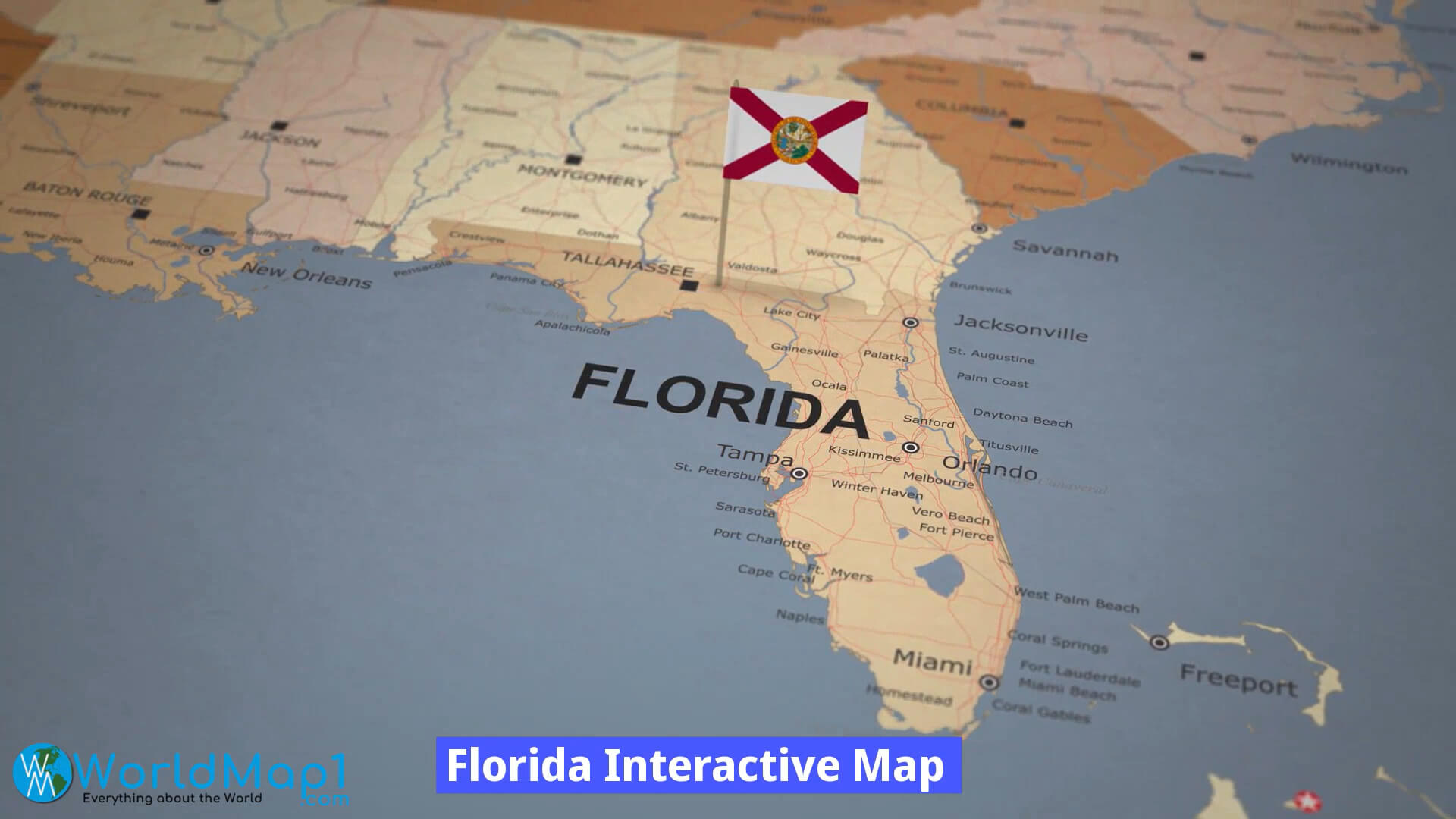 Florida Interactive Map